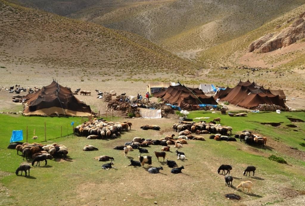 مشکل عشایر کرمانشاه در خوزستان حل شده است