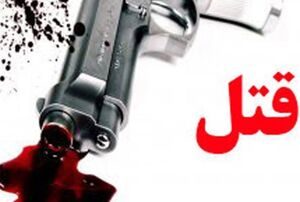 اختلافات ملکی عامل قتل شهروند ایلامی با سلاح گرم