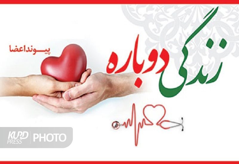 جوان شاهین دژی به ٣ نفر جانی دیگر بخشید